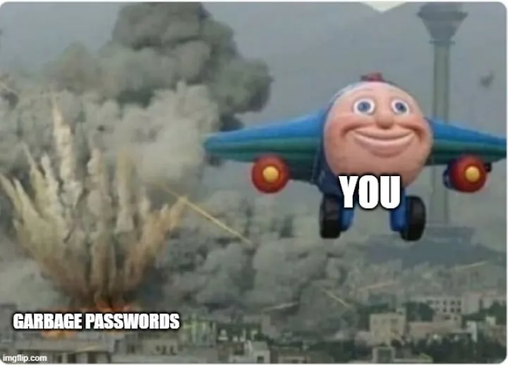 fly